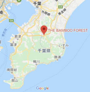 THE BAMBOO FORESTの地図